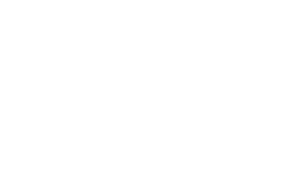 Real Estate Academy Logo White